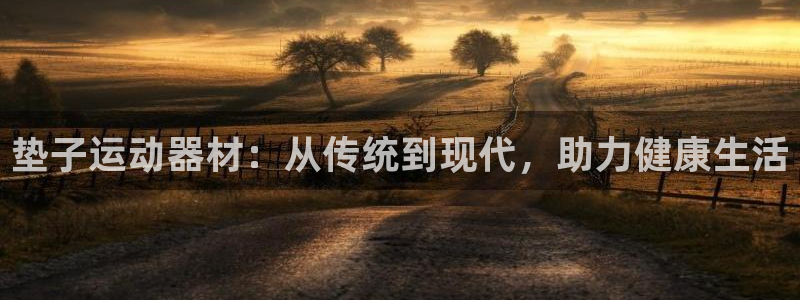 球王会体育官方正版app娱乐平台:垫子运动器材:从传统到现代